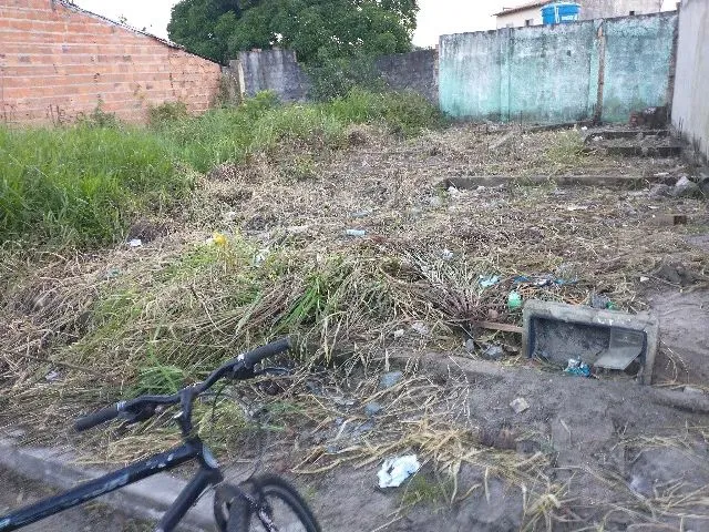 Imagem: Sua Chance de Construir o Lar dos Sonhos