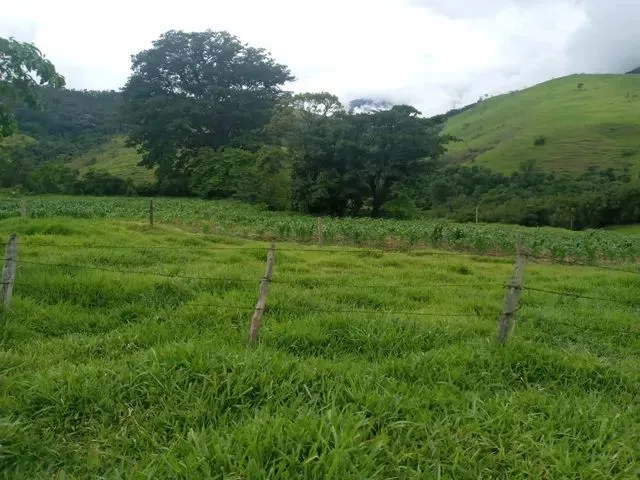 Imagem: Fazenda Rural em Areias - Sp, Centro