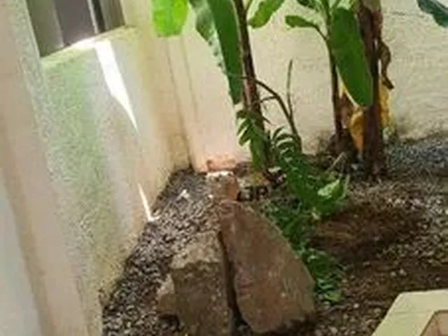 Imagem 6: Casa com 5 Dormitórios À Venda, 400 M² por R$ 650.000,00 - Ribeirão da Ponte