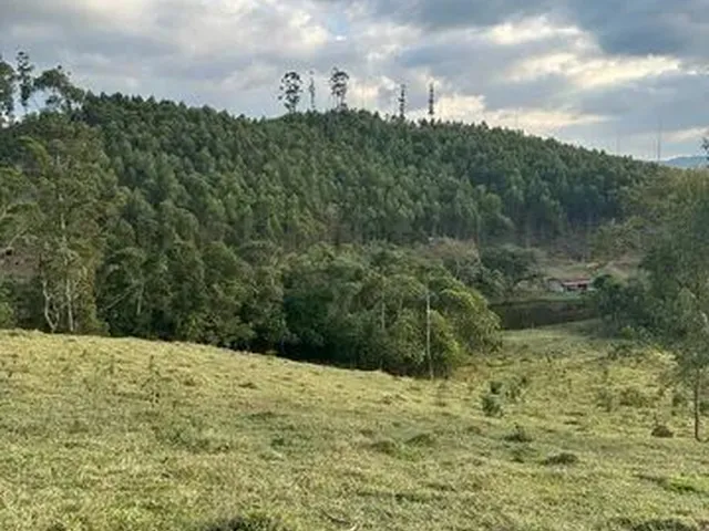 Imagem: Vende-Se 600 Metros Quadrados para Chacrinha