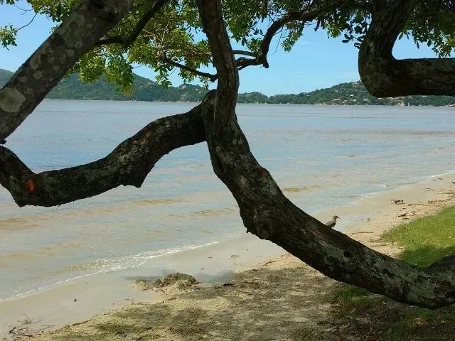 Imagem: Casa com Linda Vista na Lagoa da Conceição