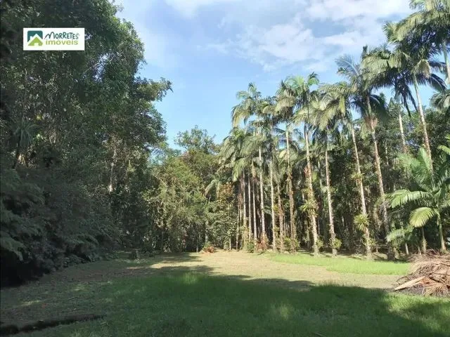 Imagem 3: Chácara À Venda no Bairro Ponte Alta - Morretes/Pr