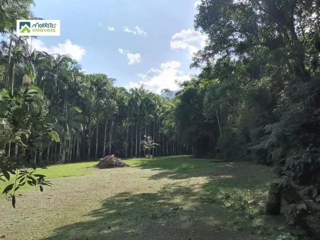 Imagem 7: Chácara À Venda no Bairro Ponte Alta - Morretes/Pr