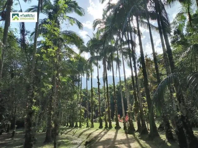 Imagem 15: Chácara À Venda no Bairro Ponte Alta - Morretes/Pr