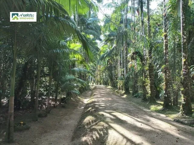 Imagem 16: Chácara À Venda no Bairro Ponte Alta - Morretes/Pr