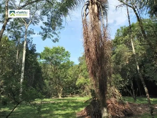 Imagem 9: Chácara À Venda no Bairro Ponte Alta - Morretes/Pr