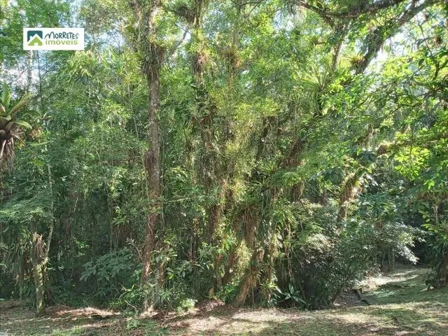 Imagem 2: Chácara À Venda no Bairro Ponte Alta - Morretes/Pr