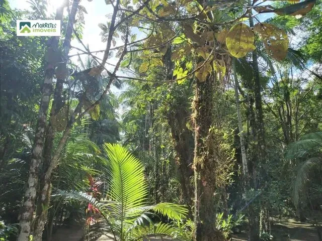 Imagem 6: Chácara À Venda no Bairro Ponte Alta - Morretes/Pr