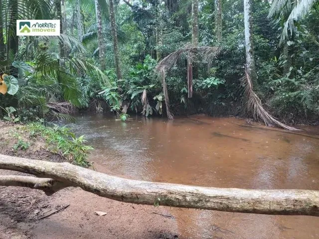 Imagem 13: Chácara À Venda no Bairro Ponte Alta - Morretes/Pr