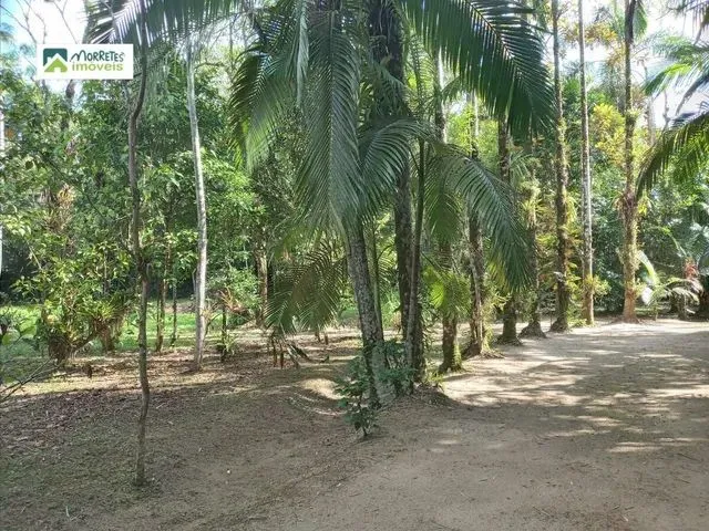 Imagem 4: Chácara À Venda no Bairro Ponte Alta - Morretes/Pr