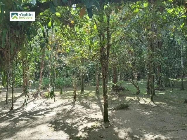 Imagem 8: Chácara À Venda no Bairro Ponte Alta - Morretes/Pr
