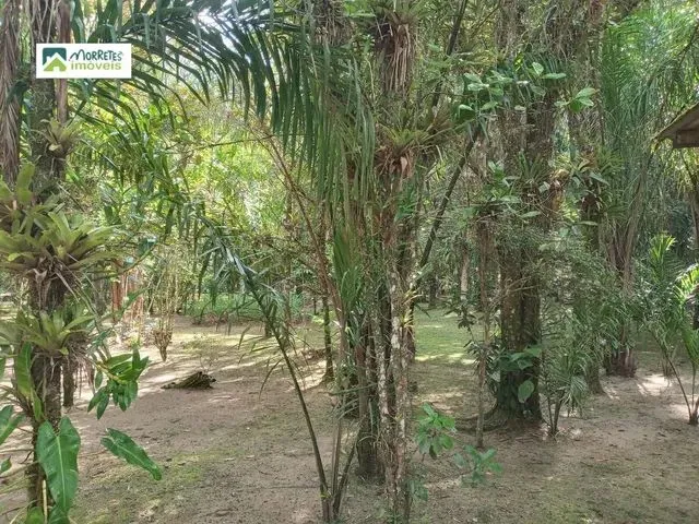 Imagem 5: Chácara À Venda no Bairro Ponte Alta - Morretes/Pr