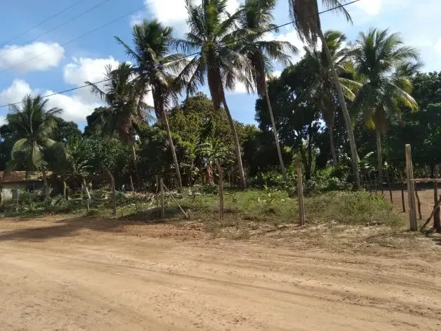Imagem: Vende-Se Terreno no Comum, Extremoz - 25M