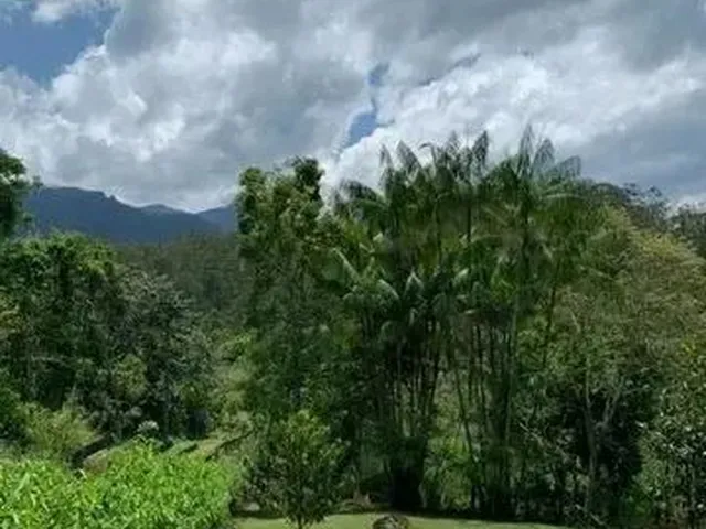 Imagem 16: Vendo Chácara em Domingos Martins
