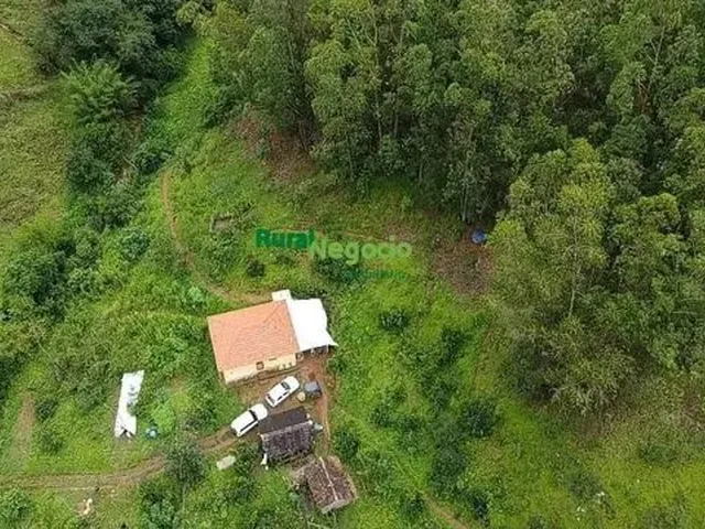 Imagem: Sítio com Pomar em Marmelópolis - Mg