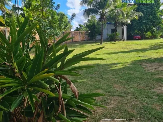 Imagem 8: Sítio 5Mil M2 em Coqueiro de Arembepe !
