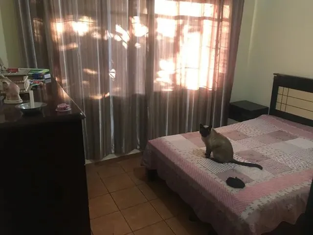 Imagem 8: Quintal Gramado no Belmonte