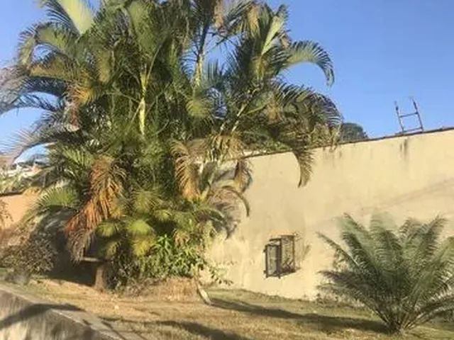 Imagem 5: Quintal Gramado no Belmonte