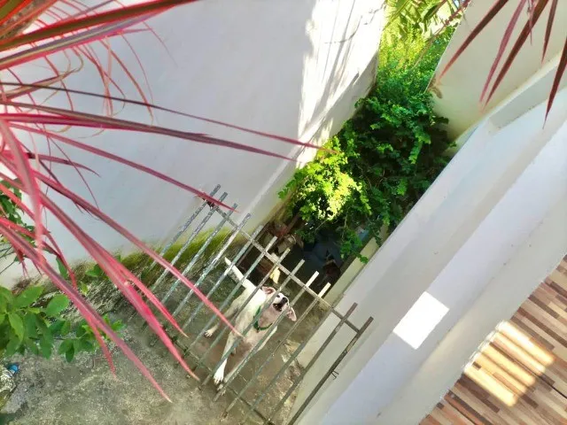 Imagem 8: Casa 1º Andar - 5 Quartos - Massagueira