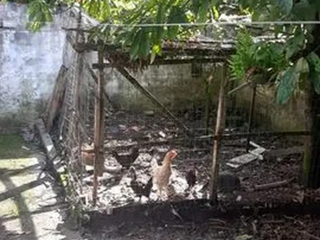 Imagem 10: Casa Térrea Med. 10X50 na Rua Esperanto, Próx. a Pedro A. Cabral