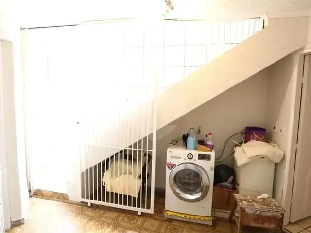 Imagem 11: São Paulo - Casa Padrão - Vila Matilde