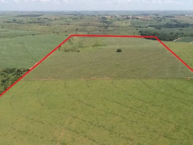 Imagem: Fazenda em Guararapes/Sp - Pecuária