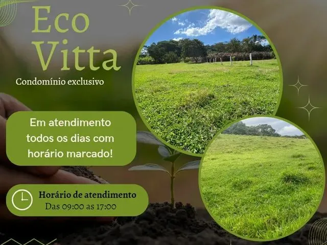 Imagem: Tb- Vendo Terreno Demarcados e Plano