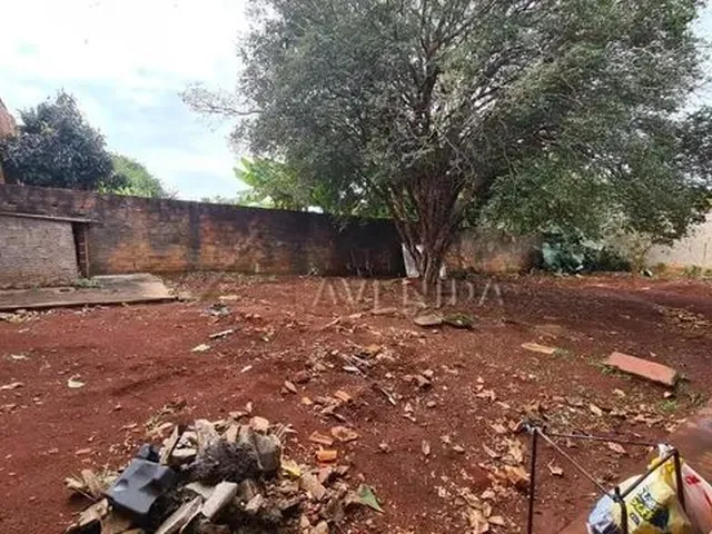 Imagem 13: Londrina - Casa Padrão - Heimtal