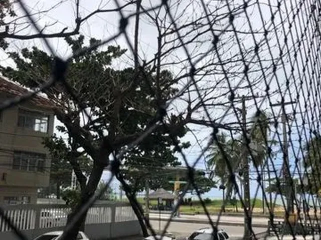 Imagem: Alugo Apartamento na Avenida Boa Viagem