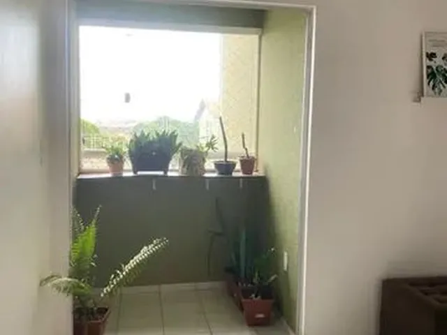 Imagem: Aluga-Se Apê