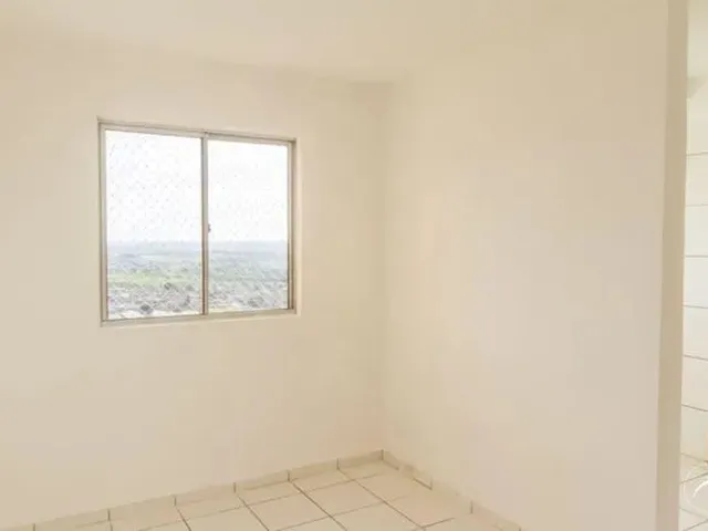 Imagem 14: Samambaia (Norte