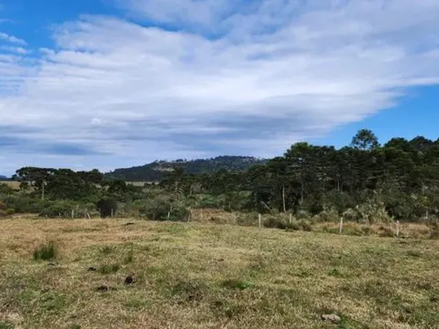 Imagem 4: Chácara com 2 Hectares em Urupema