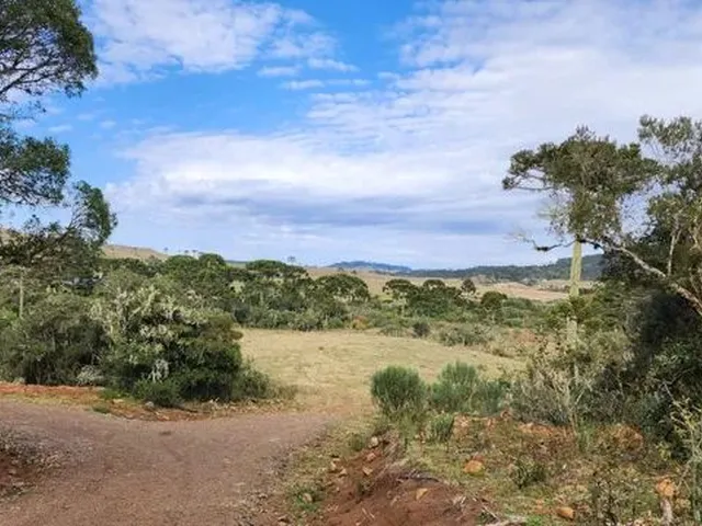 Imagem 6: Chácara com 2 Hectares em Urupema