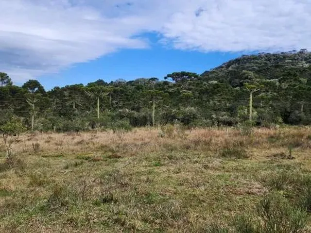 Imagem 2: Chácara com 2 Hectares em Urupema
