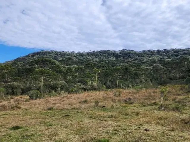 Imagem 8: Chácara com 2 Hectares em Urupema