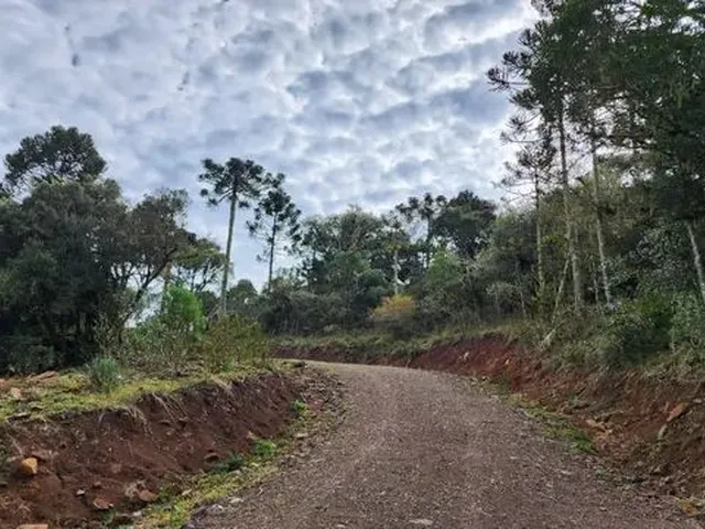 Imagem 3: Chácara com 2 Hectares em Urupema