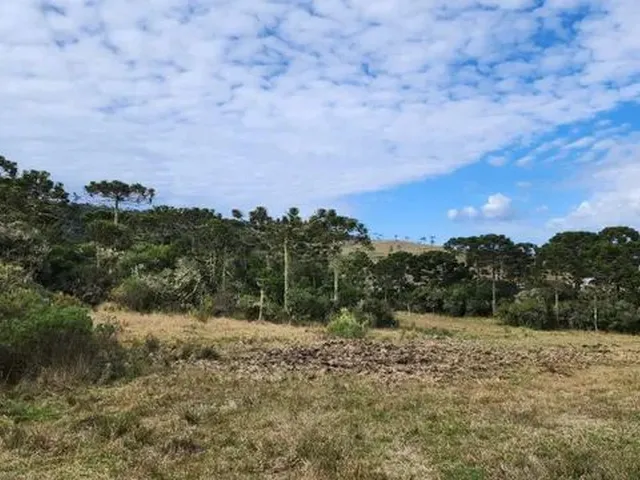 Imagem 5: Chácara com 2 Hectares em Urupema
