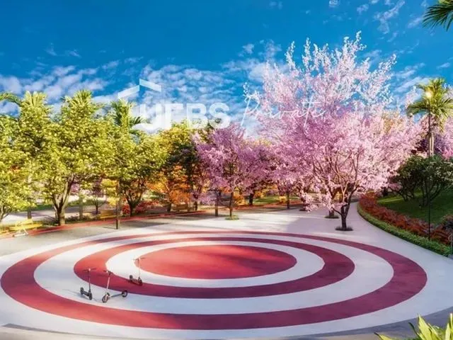 Imagem 5: Vinhas Flamboyant - Terreno