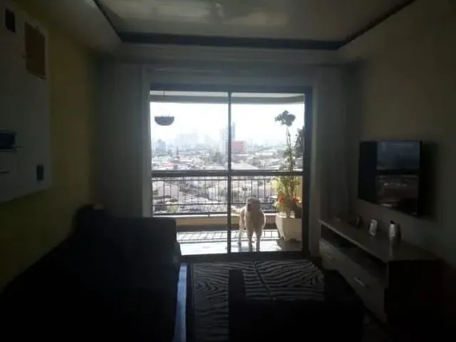 Imagem 6: Vende-Se Apartamento - Vila Santo Estéfano