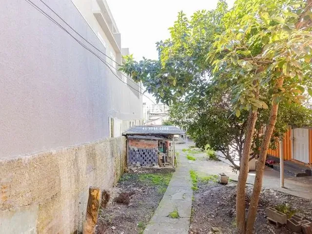 Imagem 11: Curitiba - Terreno Padrão - Cajuru
