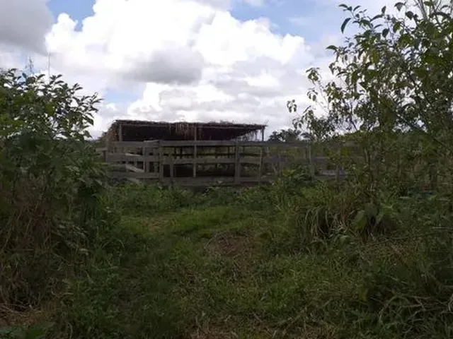 Imagem: Terreno Rural