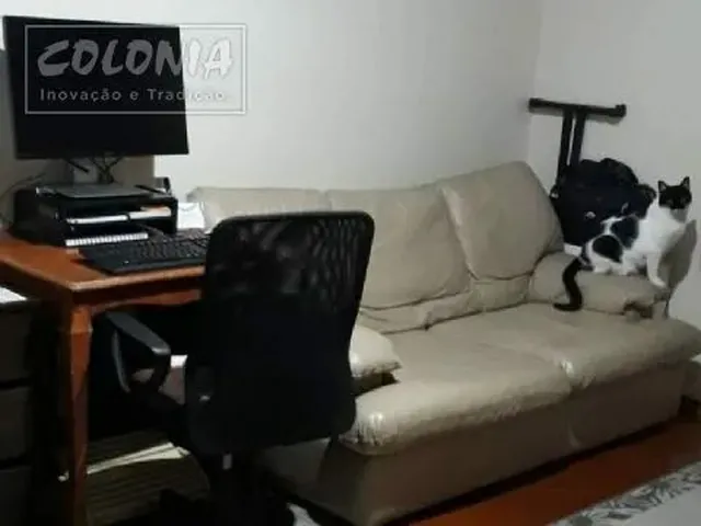 Imagem 10: Santo André - Apartamento Padrão - Campestre