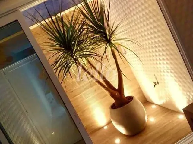 Imagem 6: Santo André - Apartamento Padrão - Campestre
