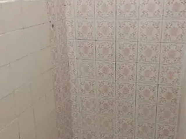 Imagem 3: Aluguel de Casa em santa Felicidade