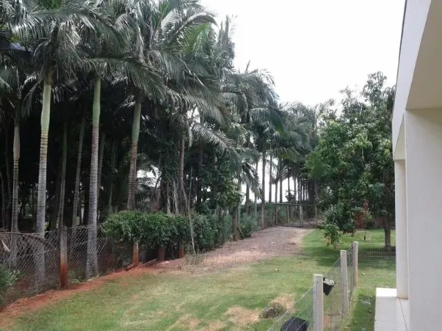 Imagem 3: Aluga-Se Casa na Chácara em Maringá, Ao Lado Duzentão Auto Peças/Faculdade Uningá