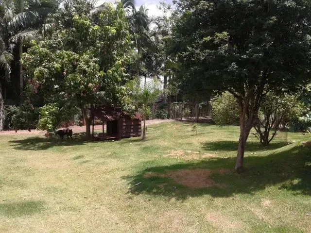 Imagem 5: Aluga-Se Casa na Chácara em Maringá, Ao Lado Duzentão Auto Peças/Faculdade Uningá