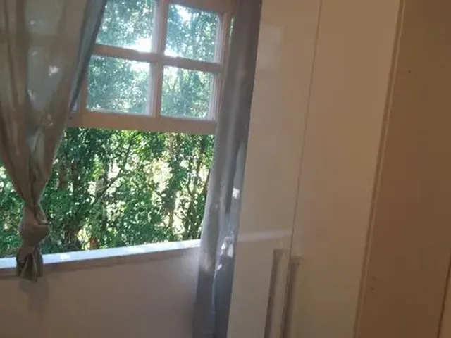 Imagem 5: Quartos Mobiliados em Campo Largo Bairro Jesus