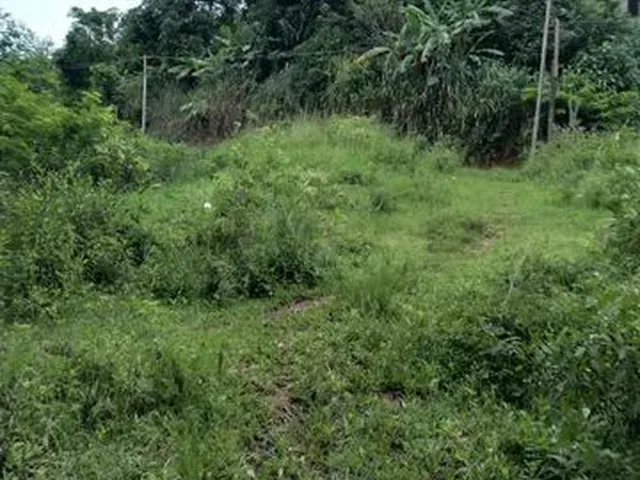 Imagem: Terreno em Basilio Subida de Braçana