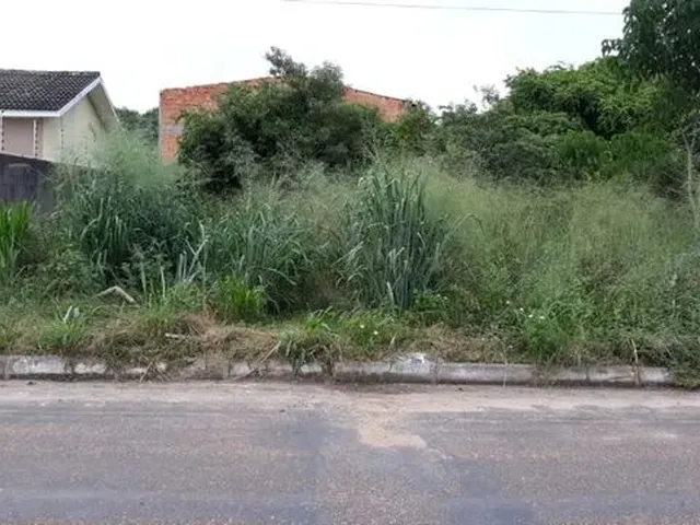 Imagem: Terreno Loteamento Novo Progresso 1º Fase