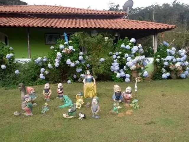 Imagem 5: Vendo Sítio em Brejetuba